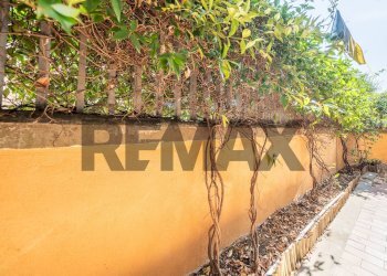 Terrazza - Casa semi indipendente Viale Della Repubblica
 
44/A1, Marino - foto 39