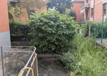 Giardino - Terreno non edificabile Bologna (zona Mazzini) - foto 23