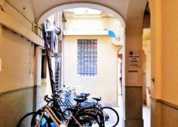 Interno palazzo - Quadrilocale via Giuseppe Petroni, 19, Bologna (zona San Vitale) - foto 22