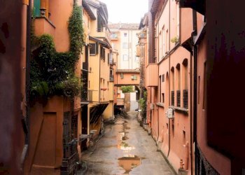 Zona - Villa via Adolfo Albertazzi, Bologna (neighborhood Murri) - photo 19