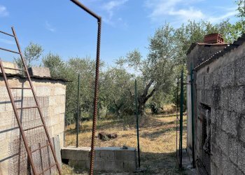 ESTERNO - Rustico Via Beggioni 3, Val Liona - foto 16