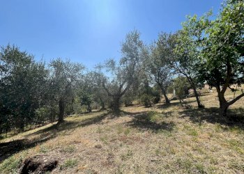 esterno - Rustico Via Beggioni 3, Val Liona - foto 19