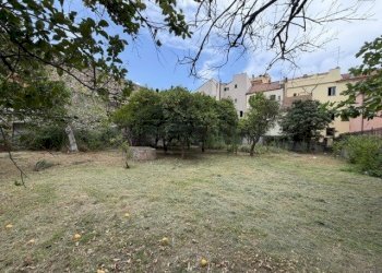 IMG_0889 - Terreno agricolo Piazza Luigi Cadorna, Loano - foto 17