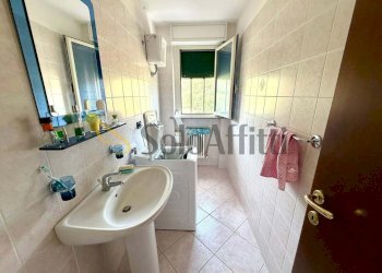 728234736_997650462869095_2944222985050578601_n - Four-room apartment Via Mario Capuani 29, Bellante - photo 22