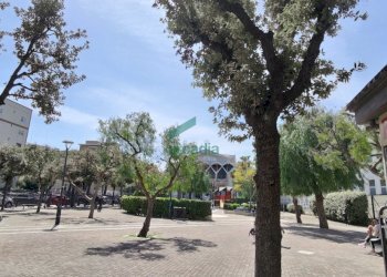 giardino pubblico - Quadrilocale Via Peucetia 72, Bari - foto 17