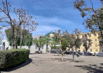 giardino pubblico - Quadrilocale Via Peucetia 72, Bari - foto 19