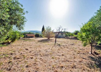 WhatsApp Image 2026-06-25 at 09.29.58 (2) - Rustico Via della Ferriera 2, Grottaferrata - foto 7