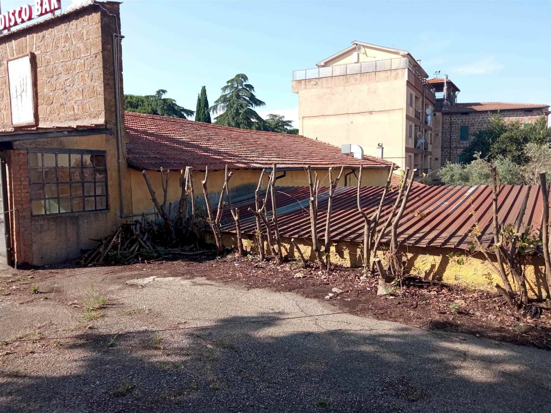 Negozio -, Vetralla - foto 2