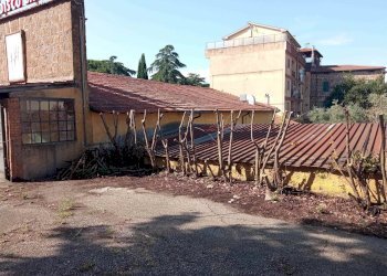 Negozio -, Vetralla - foto 2