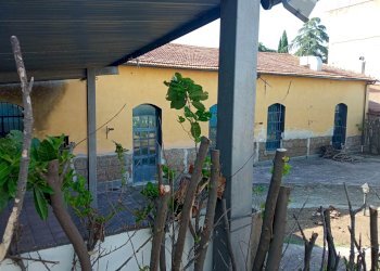 Negozio -, Vetralla - foto 5