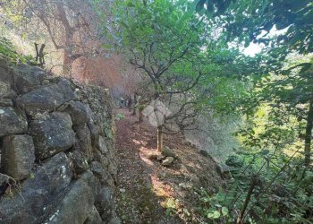 Trilocale Via Felice Cascione, Ventimiglia - foto 21