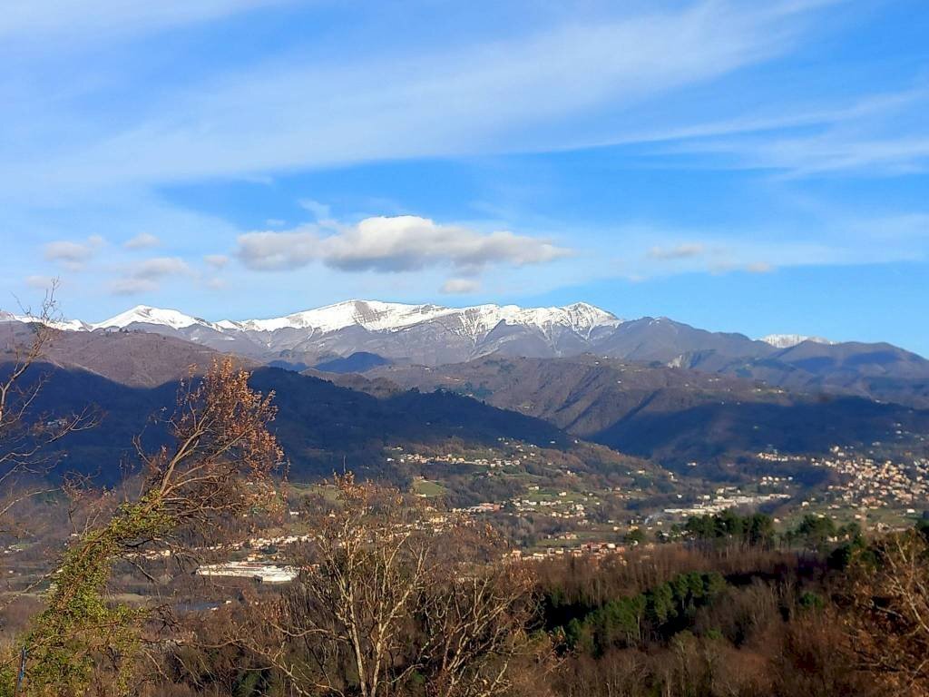 Villa Molazzana - photo 3