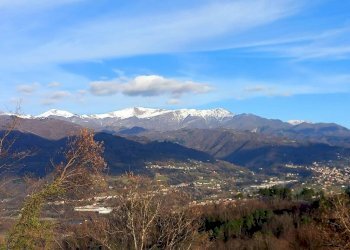Villa Molazzana - photo 3