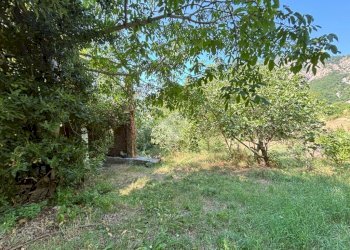 Casa indipendente Frazione Costa Merlassino, Cantalupo Ligure - foto 4