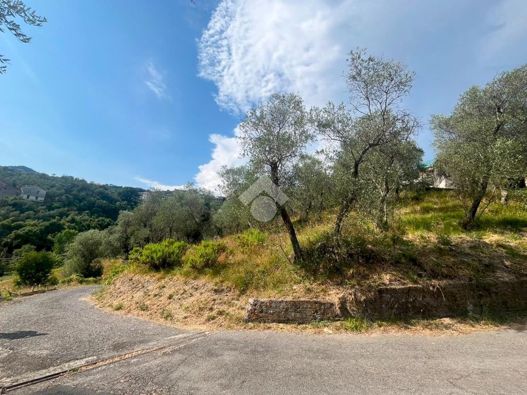 Terreno edificabile Via san terenziano, Leivi - foto 1