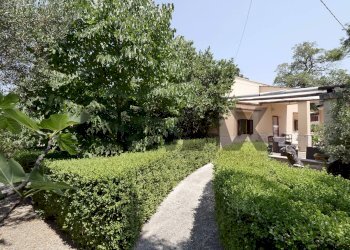 Giardino - Villa Contrada Cristo Re
 
523, Monopoli - foto 23