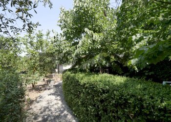 Giardino - Villa Contrada Cristo Re
 
523, Monopoli - foto 24