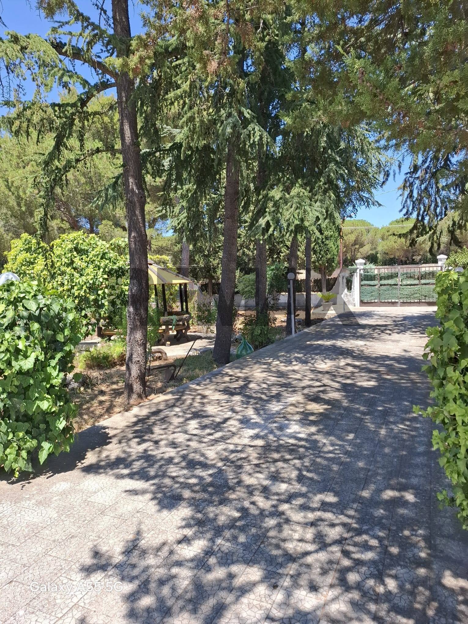 Giardino - Villa Contrada Bellaveduta
snc, Bitonto - foto 2