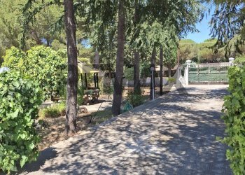 Giardino - Villa Contrada Bellaveduta
 
snc, Bitonto - foto 2