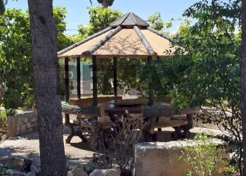 Casa all\'aperto - Villa Contrada Bellaveduta
 
snc, Bitonto - foto 3