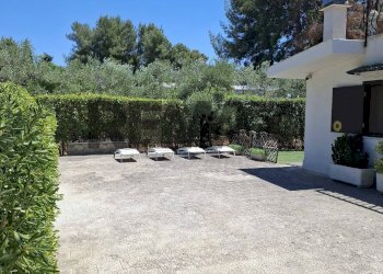 Terrazza - Villa Contrada Bellaveduta
 
snc, Bitonto - foto 14