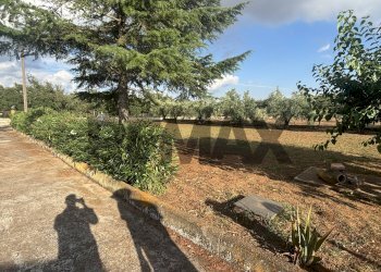 Giardino - Villa SP 34
 
snc, Caltagirone - foto 2