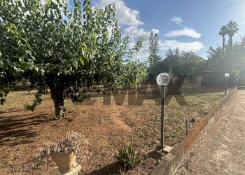 Giardino - Villa SP 34
 
snc, Caltagirone - foto 4
