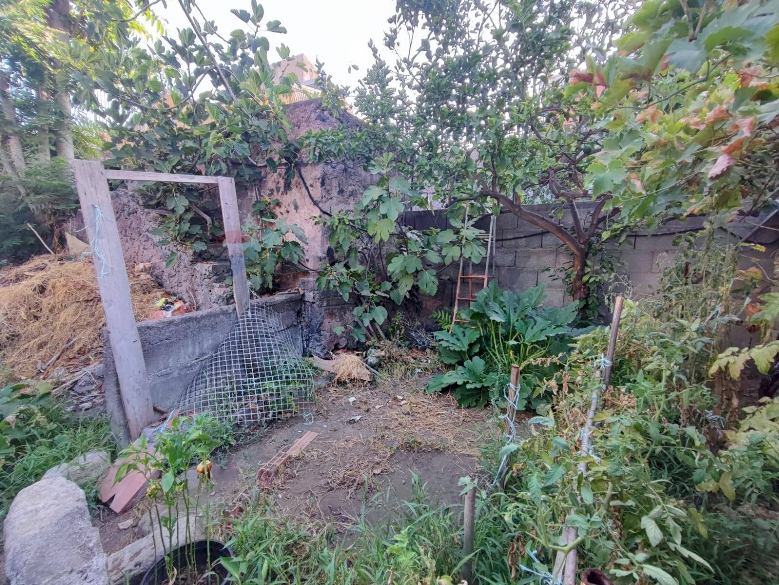 Giardino - Casa indipendente Via Pietro Abbadessa
17, Catania - foto 3