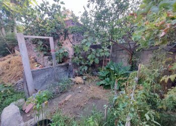 Giardino - Casa indipendente Via Pietro Abbadessa
 
17, Catania - foto 3