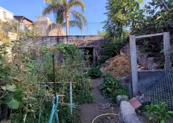 Giardino - Casa indipendente Via Pietro Abbadessa
 
17, Catania - foto 4