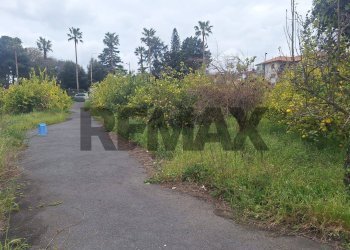 Giardino - Villa via Aldo Moro
 
snc, Aci Sant'Antonio - photo 11