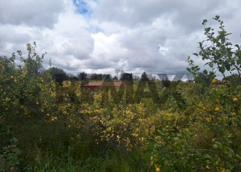Vista delle montagne - Villa via Aldo Moro
 
snc, Aci Sant'Antonio - photo 13