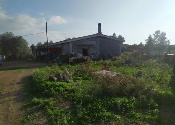Casa all\'aperto - Casa indipendente Via Apriliana
 
58/A, Aprilia - foto 15