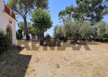Giardino - Villa Contrada Cruste
 
snc, Lucera - photo 4