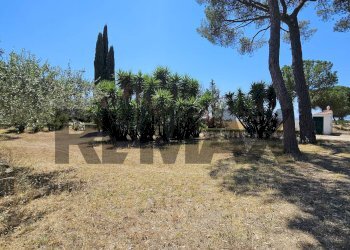 Giardino - Villa Contrada Cruste
 
snc, Lucera - photo 8
