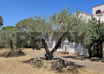 Giardino - Villa Contrada Cruste
 
snc, Lucera - photo 13