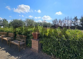 Giardino - Villa Contrada Cruste
 
snc, Lucera - photo 39