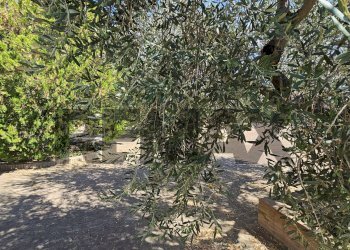 Giardino - Villa Contrada Cruste
 
snc, Lucera - photo 45