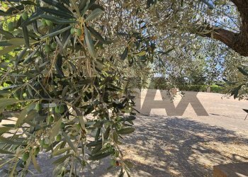 Giardino - Villa Contrada Cruste
 
snc, Lucera - photo 46
