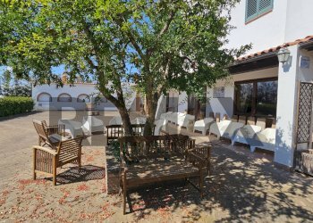 Terrazza - Villa Contrada Cruste
 
snc, Lucera - photo 49