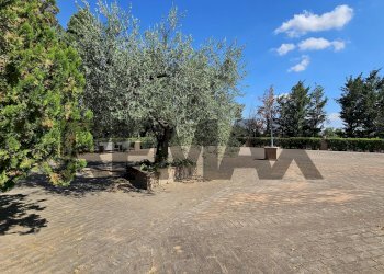 Giardino - Villa Contrada Cruste
 
snc, Lucera - photo 54