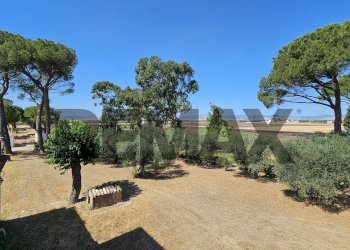 Giardino - Villa Contrada Cruste
 
snc, Lucera - photo 75