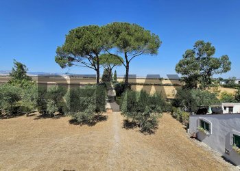 Giardino - Villa Contrada Cruste
 
snc, Lucera - photo 76
