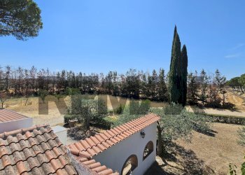 Giardino - Villa Contrada Cruste
 
snc, Lucera - photo 114
