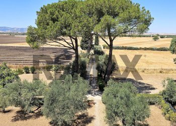 Giardino - Villa Contrada Cruste
 
snc, Lucera - photo 124