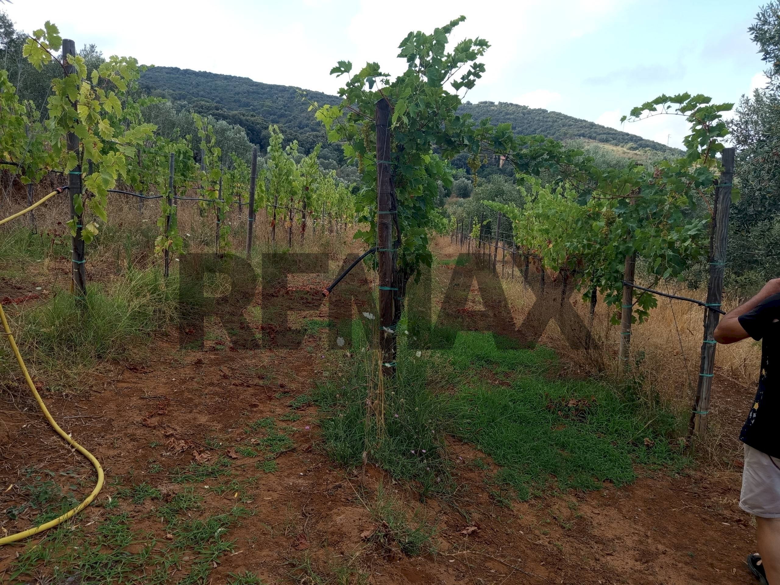 Vista delle montagne - Terreno agricolo Localita Montecaselli
 
1, Piombino - foto 1