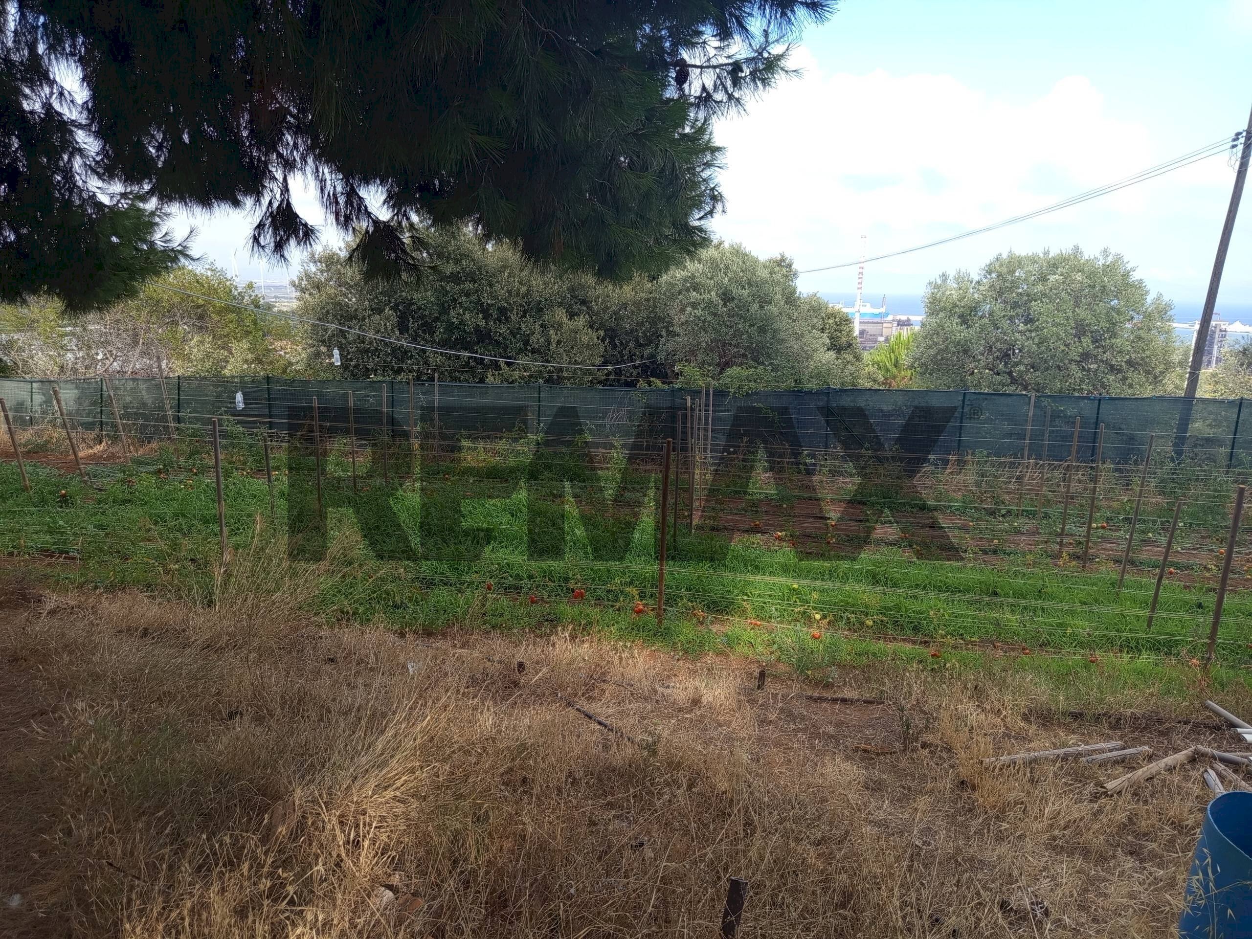 Giardino - Terreno agricolo Localita Montecaselli
1, Piombino - foto 2