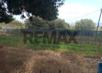 Giardino - Terreno agricolo Localita Montecaselli
1, Piombino - foto 2