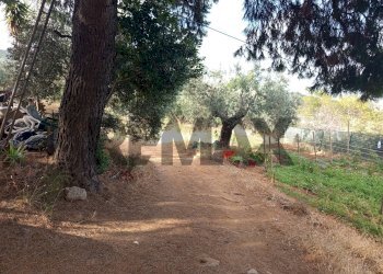 Giardino - Terreno agricolo Localita Montecaselli
1, Piombino - foto 3