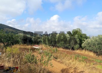 Vista delle montagne - Terreno agricolo Localita Montecaselli
1, Piombino - foto 4